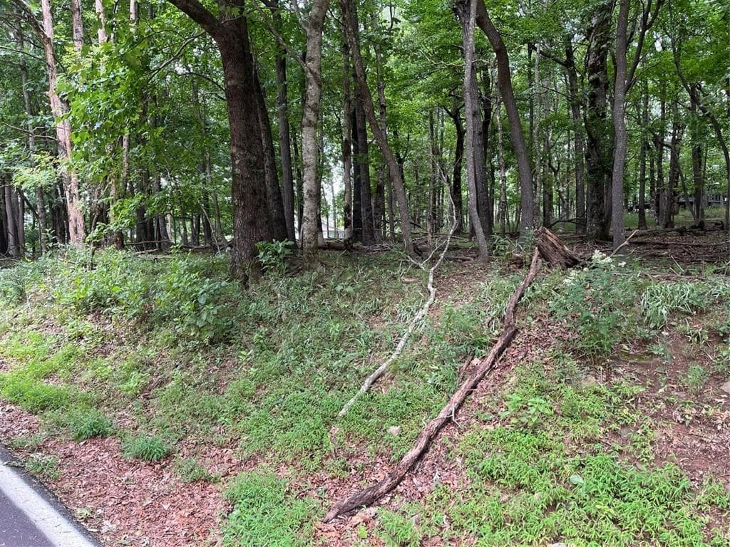 single family residence for sale at 1918 Big Stump Mountain Trail, Jasper, GA 30143 — photo 2