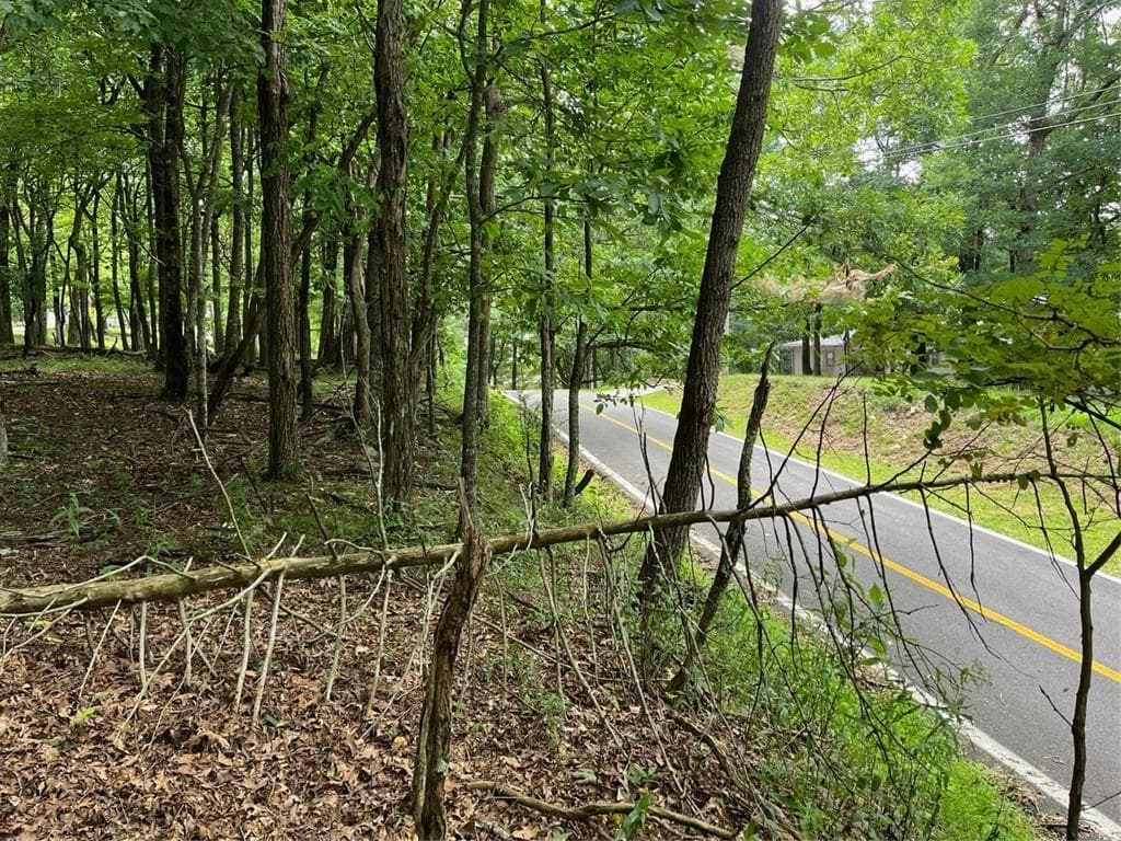 single family residence for sale at 1918 Big Stump Mountain Trail, Jasper, GA 30143 — photo 3