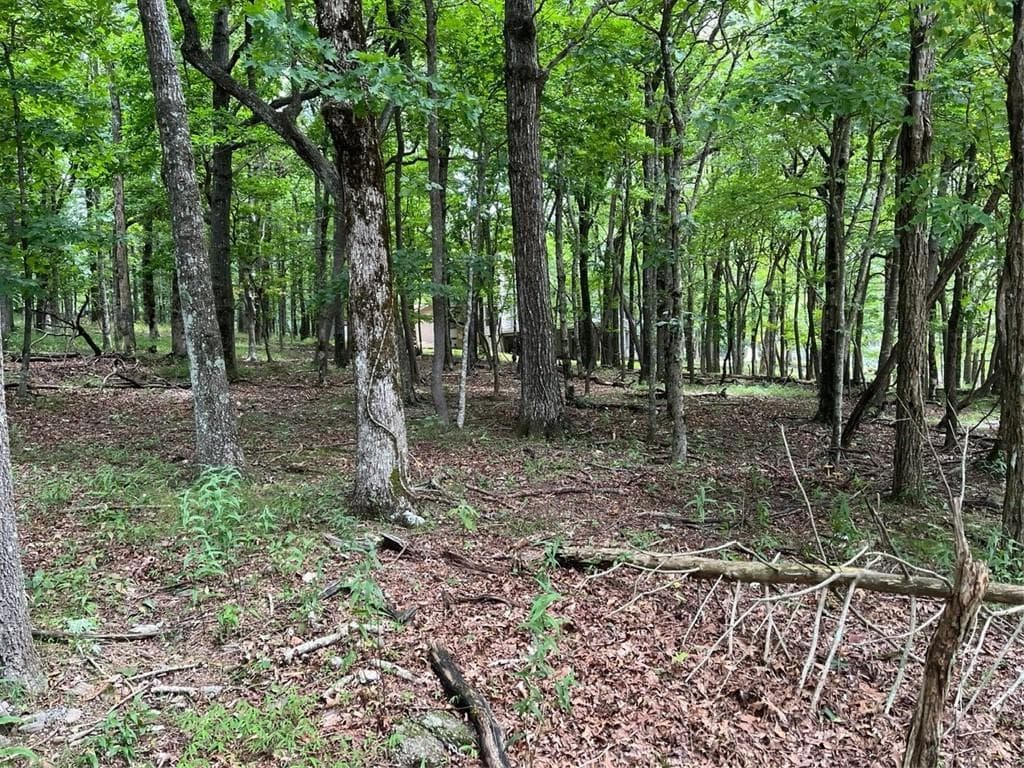single family residence for sale at 1918 Big Stump Mountain Trail, Jasper, GA 30143 — photo 4