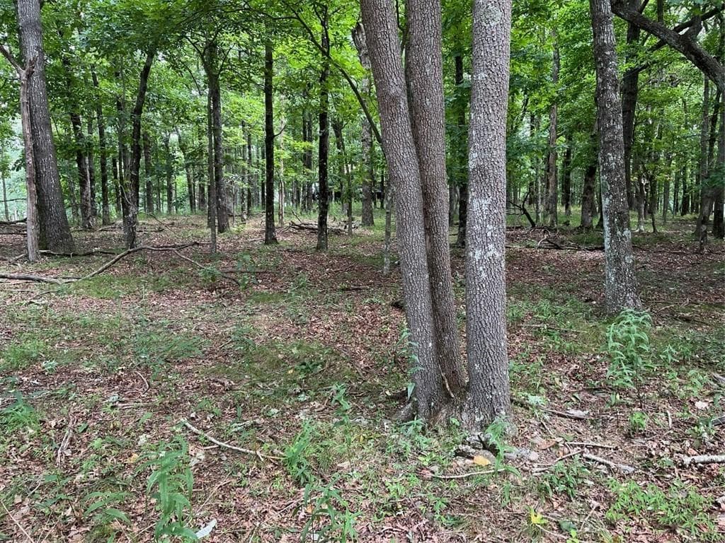 single family residence for sale at 1918 Big Stump Mountain Trail, Jasper, GA 30143 — photo 5