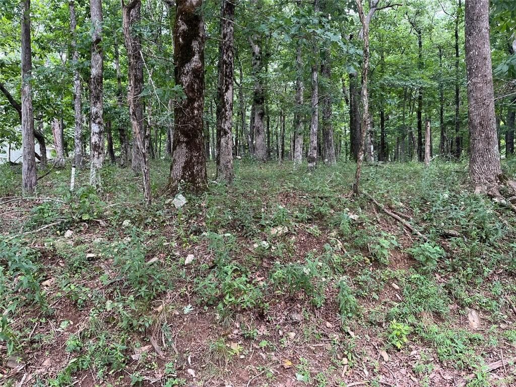 single family residence for sale at 1918 Big Stump Mountain Trail, Jasper, GA 30143 — photo 6