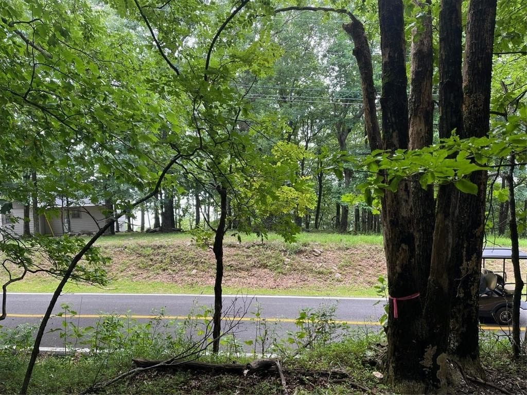 single family residence for sale at 1918 Big Stump Mountain Trail, Jasper, GA 30143 — photo 7