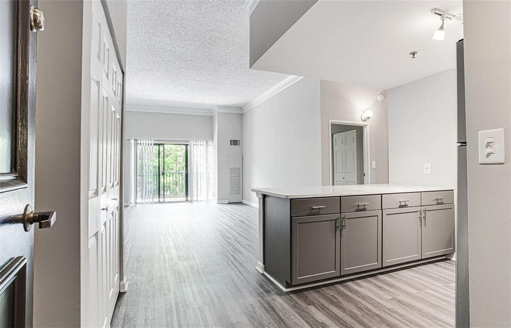 1 bedroom, 1 bathroom, 814 sq ft apartment for rent at 2460 Peachtree Road 0501, Atlanta, GA 30305 for $1,405 a month — photo 4