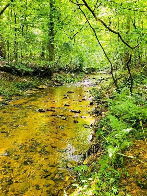 unimproved land for sale at 2979 Nathan Dean Parkway, Rockmart, GA 30153 — photo 4