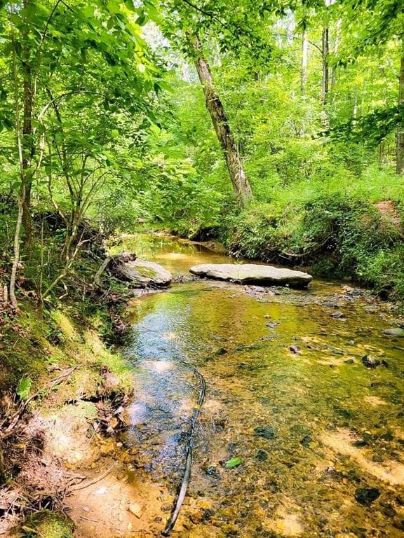 unimproved land for sale at 2979 Nathan Dean Parkway, Rockmart, GA 30153 — photo 5