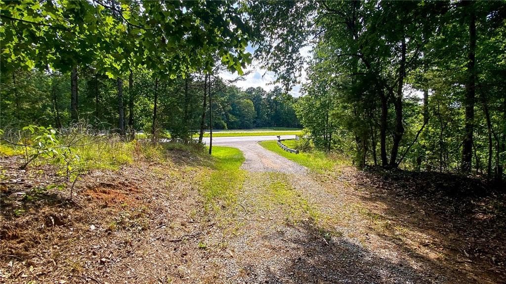 unimproved land for sale at 2979 Nathan Dean Parkway, Rockmart, GA 30153 — photo 7