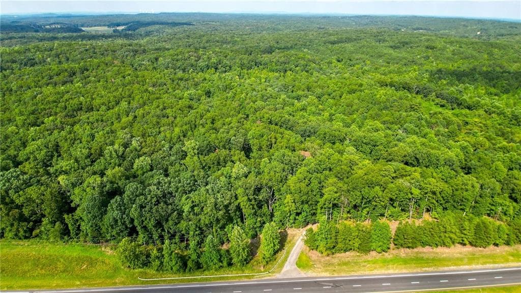 unimproved land for sale at 2979 Nathan Dean Parkway, Rockmart, GA 30153 — photo 8