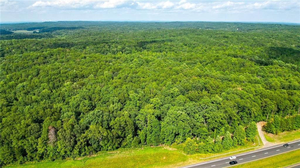 unimproved land for sale at 2979 Nathan Dean Parkway, Rockmart, GA 30153 — photo 9
