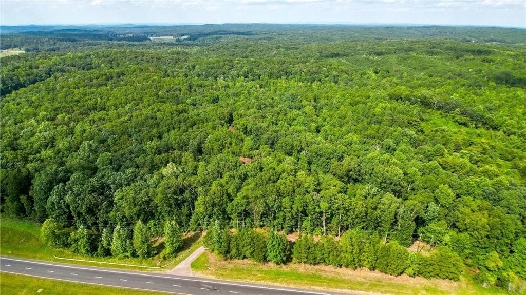unimproved land for sale at 2979 Nathan Dean Parkway, Rockmart, GA 30153 — photo 10