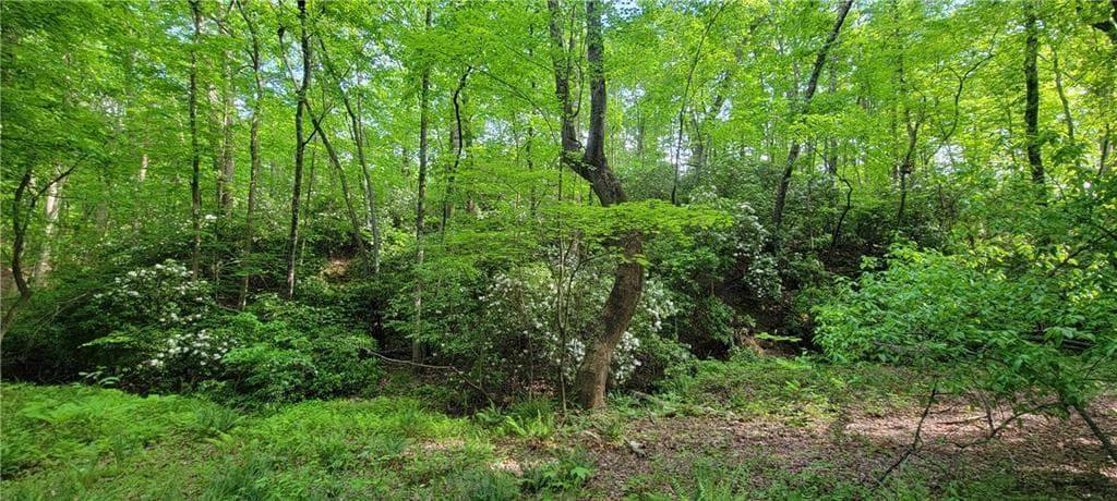 other sold at 24 Vineyard Road, Dallas, GA 30132