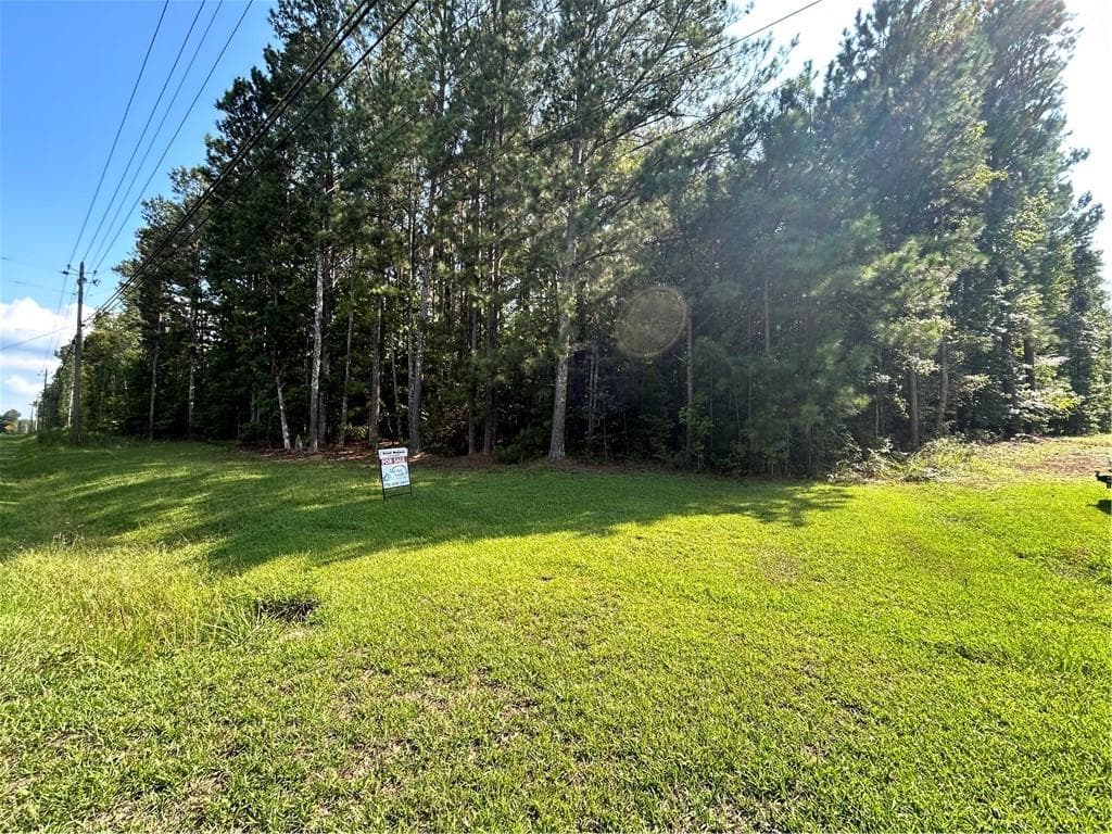 unimproved land for sale at 000 Keys Ferry, Mcdonough, GA 30252 — photo 5