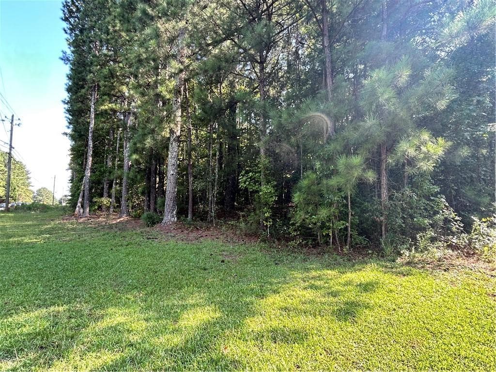 unimproved land for sale at 000 Keys Ferry, Mcdonough, GA 30252 — photo 6