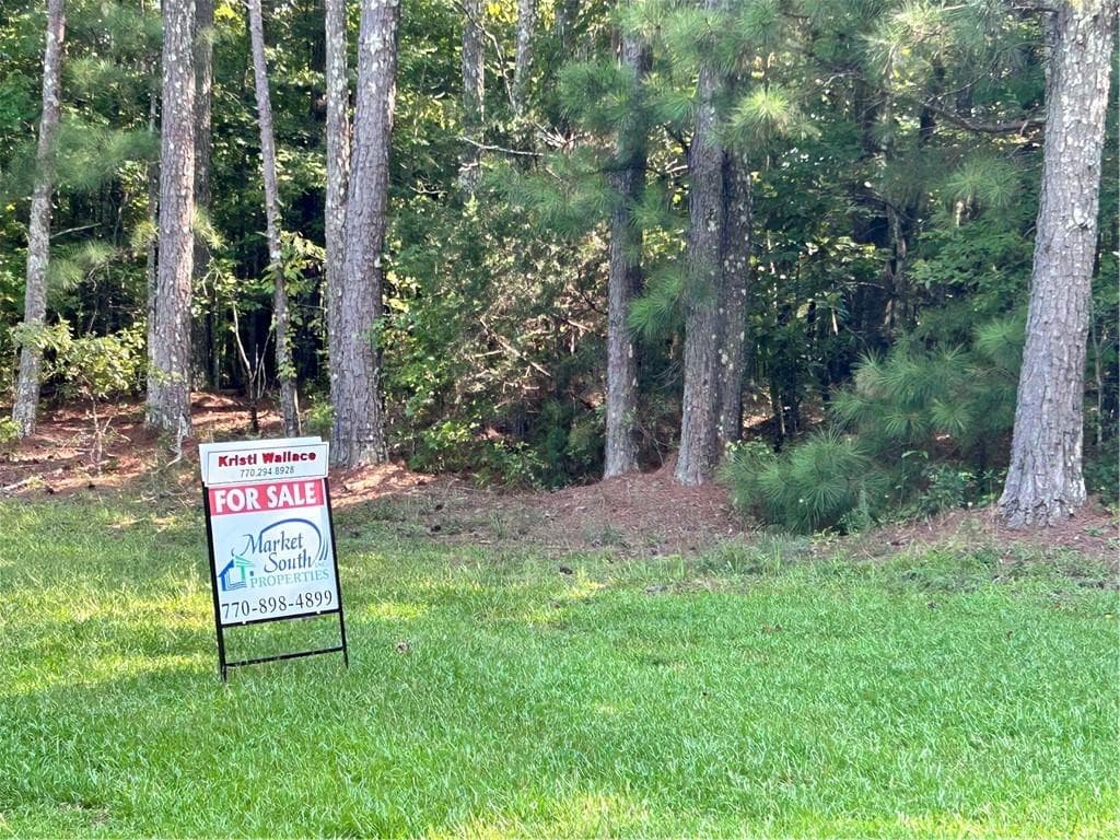 unimproved land for sale at 000 Keys Ferry, Mcdonough, GA 30252 — photo 7
