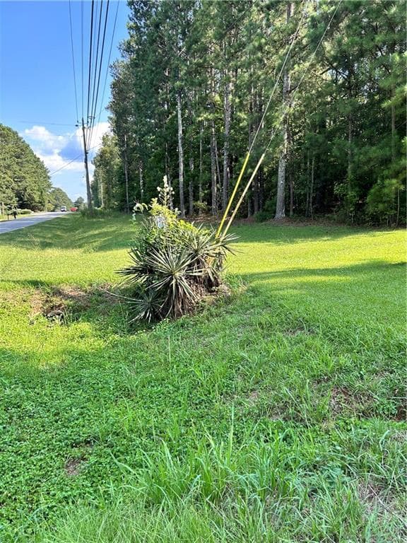 unimproved land for sale at 000 Keys Ferry, Mcdonough, GA 30252 — photo 8