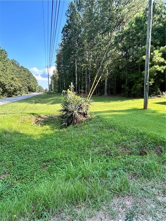 unimproved land for sale at 000 Keys Ferry, Mcdonough, GA 30252 — photo 9