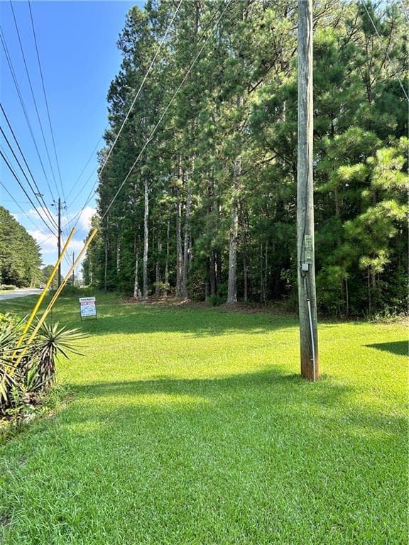 unimproved land for sale at 000 Keys Ferry, Mcdonough, GA 30252 — photo 10