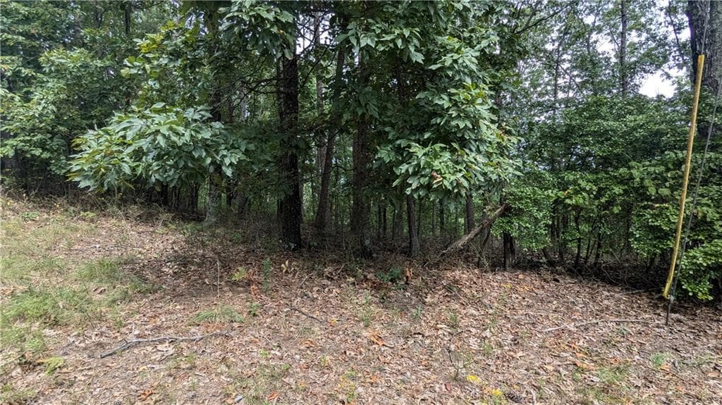single family residence for sale at 278 Adair Drive, Ranger, GA 30734 — photo 4