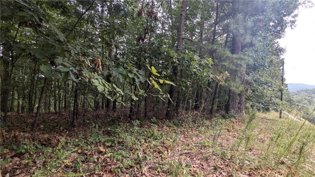 single family residence for sale at 278 Adair Drive, Ranger, GA 30734 — photo 5
