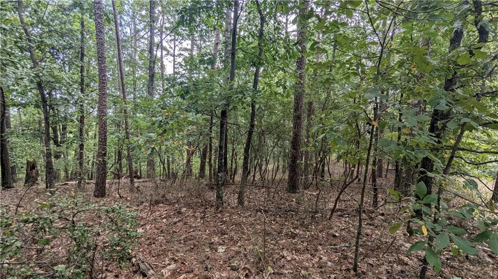 single family residence for sale at 278 Adair Drive, Ranger, GA 30734 — photo 6