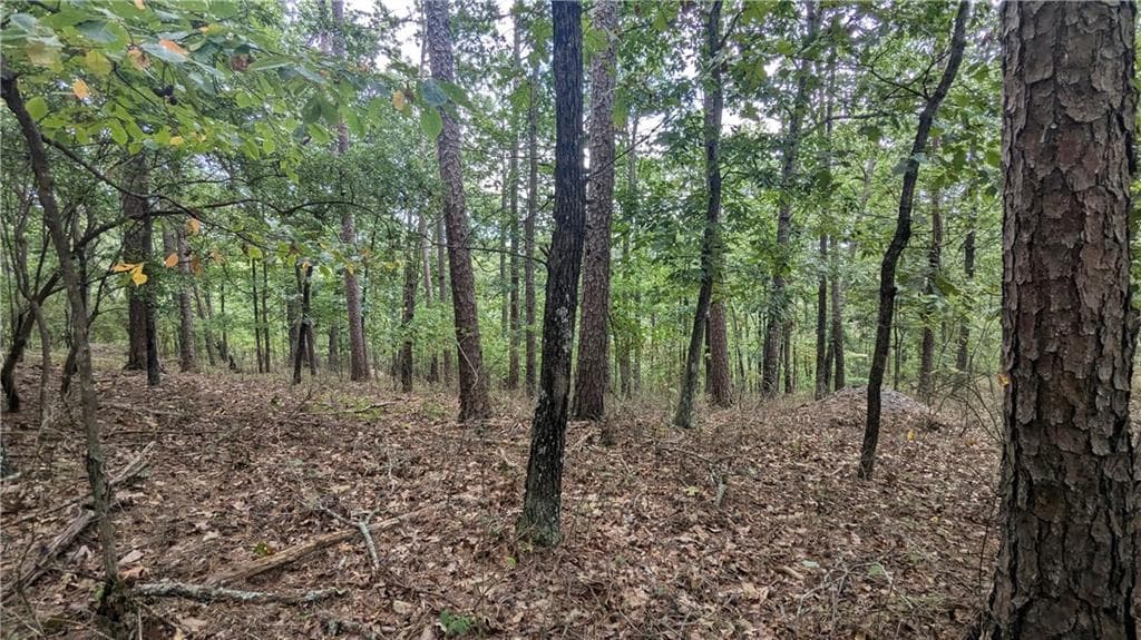 single family residence for sale at 278 Adair Drive, Ranger, GA 30734 — photo 8