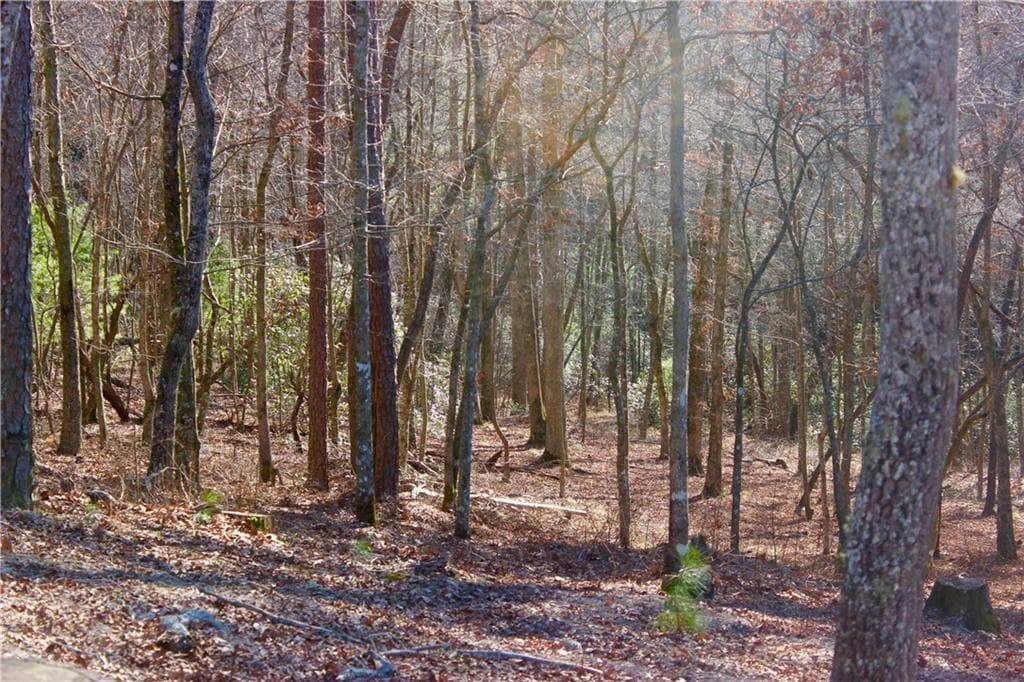 single family residence sold at 0 Tumbling Waters Lane, Ellijay, GA 30540