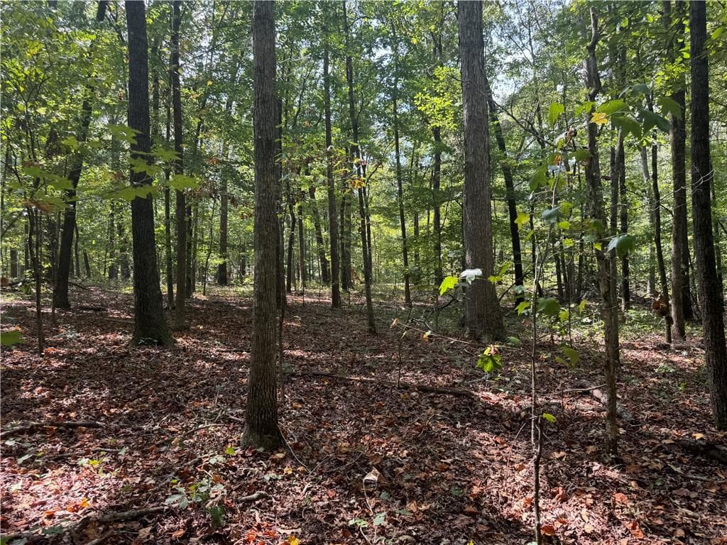 other sold at 348 Pat Rich Drive, Canton, GA 30115