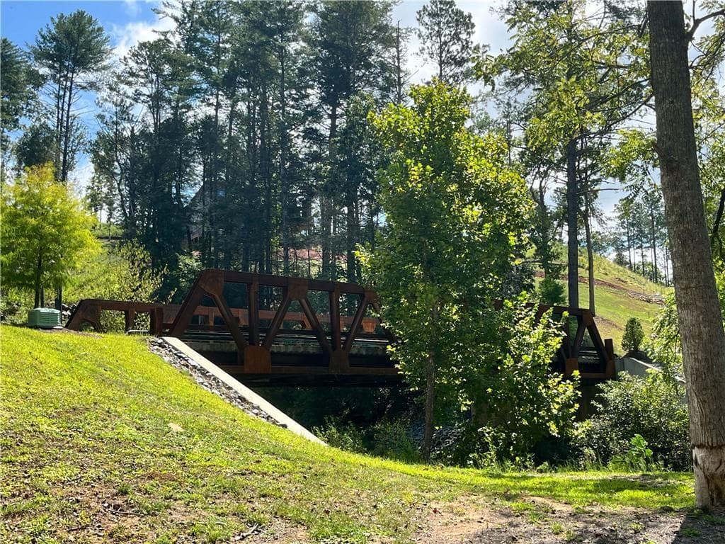 other for sale at 0 Azure Lane, Ellijay, GA 30540 — photo 3