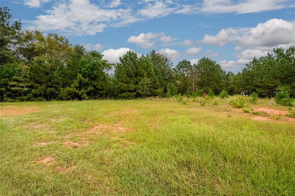 other for sale at 1 Point Drive, Pendergrass, GA 30575 — photo 4