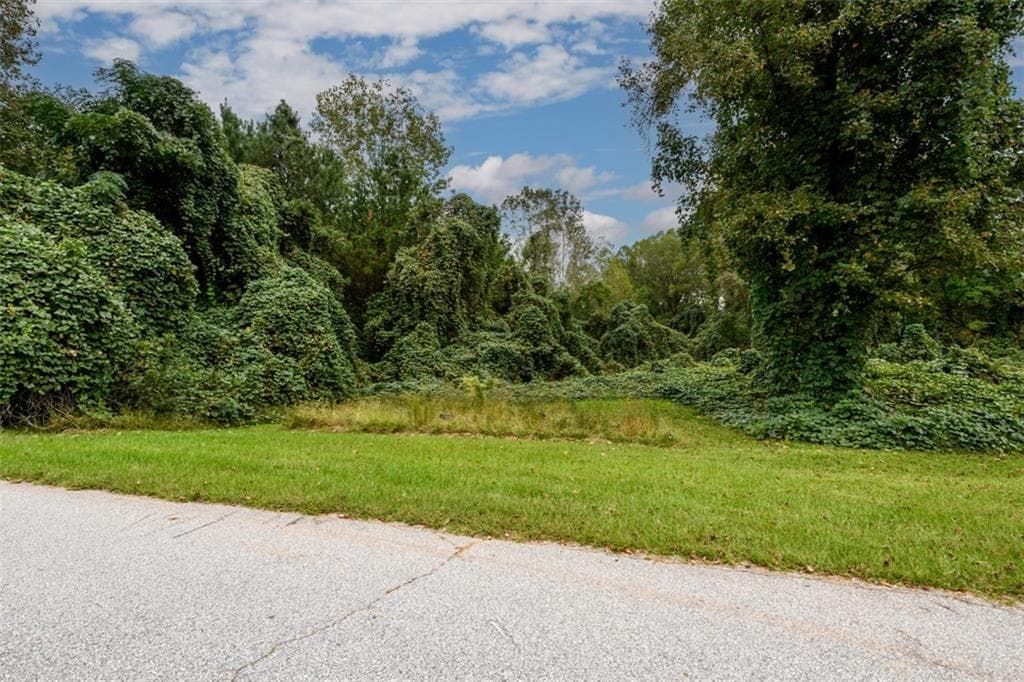 other for sale at 1 Point Drive, Pendergrass, GA 30575 — photo 5