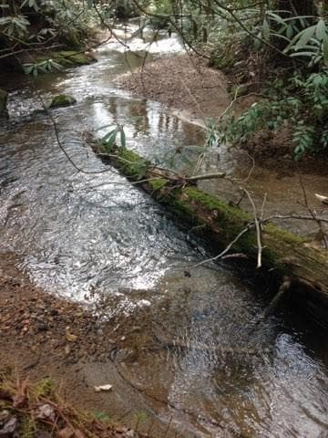 unimproved land for sale at 0 Wolf Howl Trail, Sautee Nacoochee, GA 30571 — photo 2