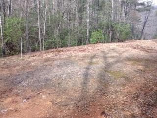 unimproved land for sale at 0 Wolf Howl Trail, Sautee Nacoochee, GA 30571 — photo 6