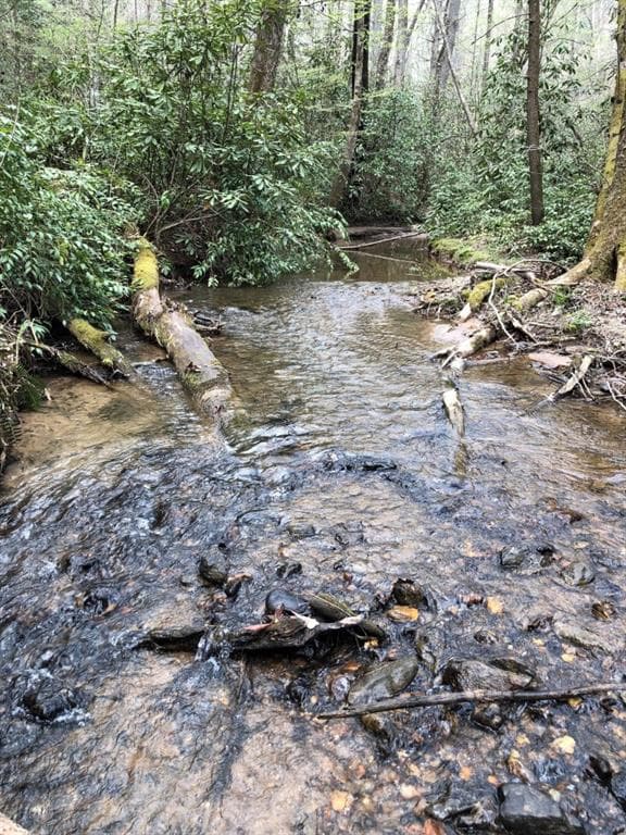 unimproved land for sale at 0 Wolf Howl Trail, Sautee Nacoochee, GA 30571 — photo 9