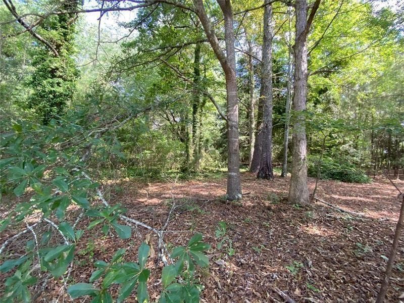 unimproved land for sale at 466 Hwy 81, Covington, GA 30014 — photo 1 of 6