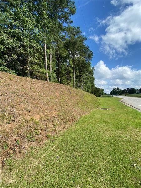 unimproved land for sale at 466 Hwy 81, Covington, GA 30014 — photo 4