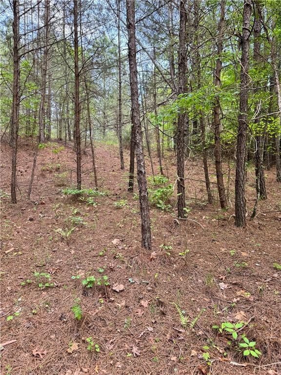 single family residence sold at 02 Old Shyers Ford Road, Talking Rock, GA 30175