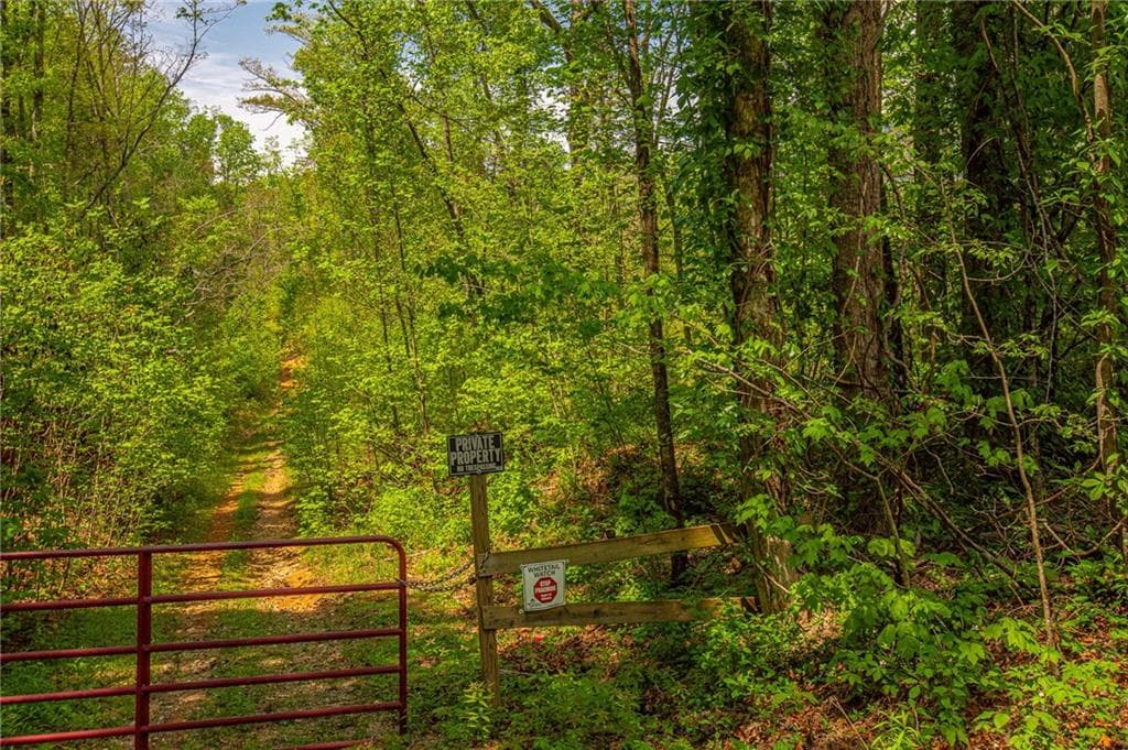 unimproved land for sale at 0 Antioch Valley Road Trct 3, Dawsonville, GA 30534 — photo 3