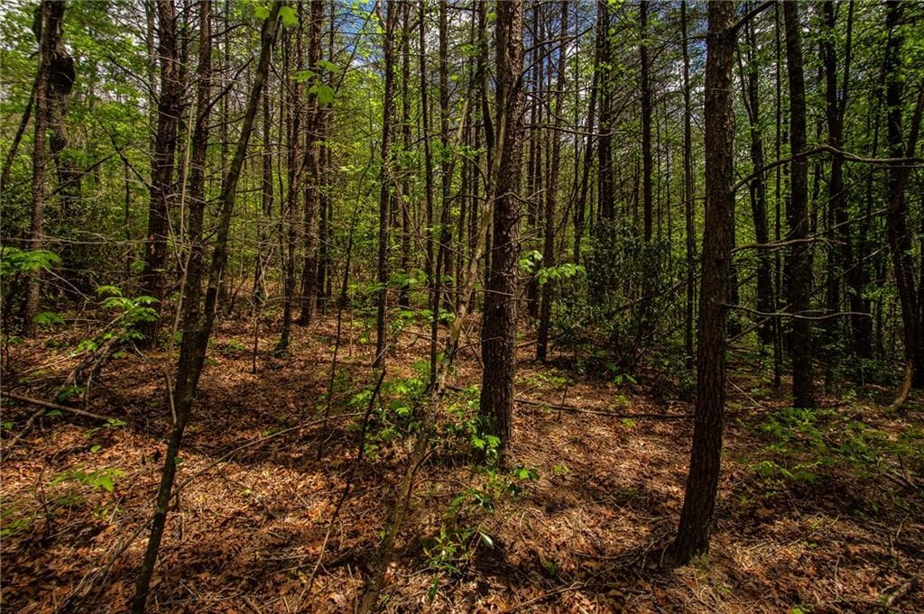 unimproved land for sale at 0 Antioch Valley Road Trct 3, Dawsonville, GA 30534 — photo 6