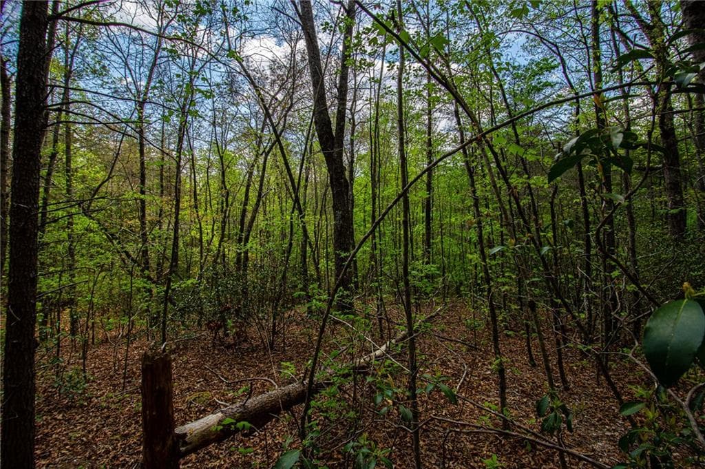unimproved land for sale at 0 Antioch Valley Road Trct 3, Dawsonville, GA 30534 — photo 10