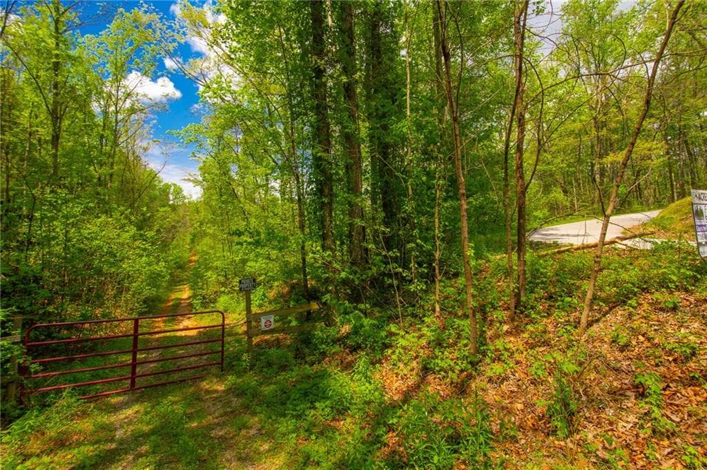 unimproved land for sale at 0 Antioch Valley Road Trct 1, Dawsonville, GA 30534 — photo 3
