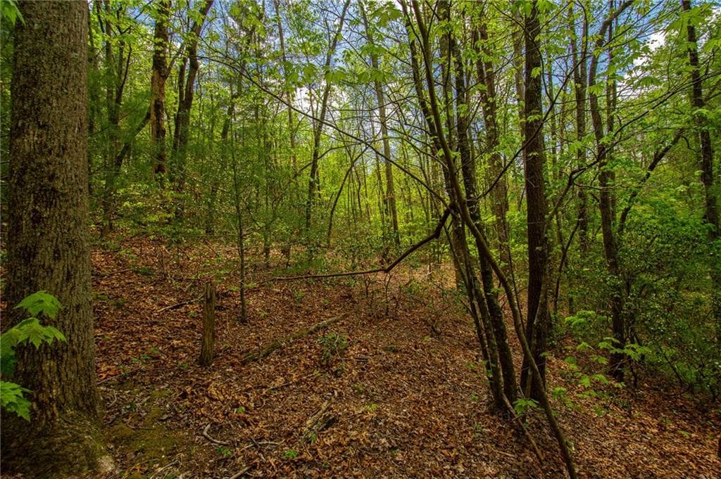 unimproved land for sale at 0 Antioch Valley Road Trct 1, Dawsonville, GA 30534 — photo 4