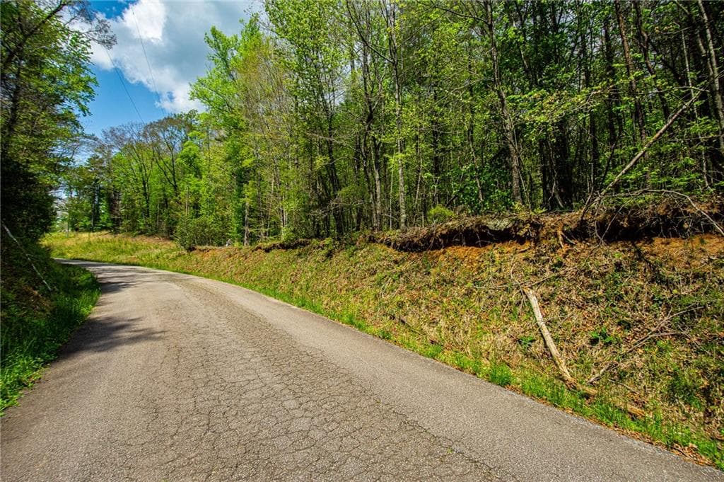 unimproved land for sale at 0 Antioch Valley Road Trct 1, Dawsonville, GA 30534 — photo 9