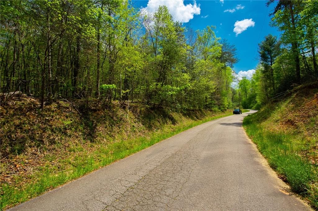 unimproved land for sale at 0 Antioch Valley Road Trct 1, Dawsonville, GA 30534 — photo 10