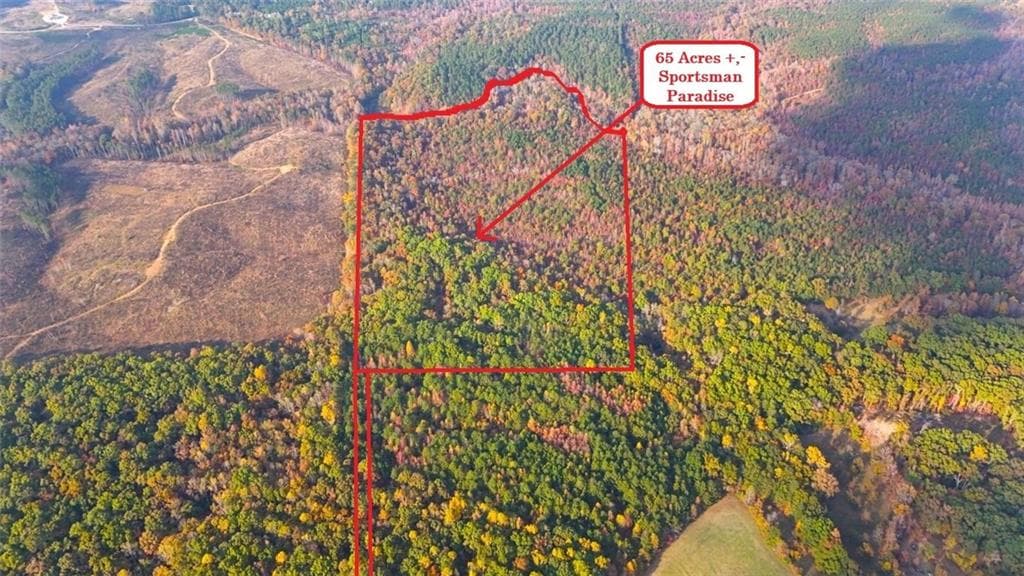 unimproved land for sale at 00001 Poplar Springs Road, Buchanan, GA 30113
