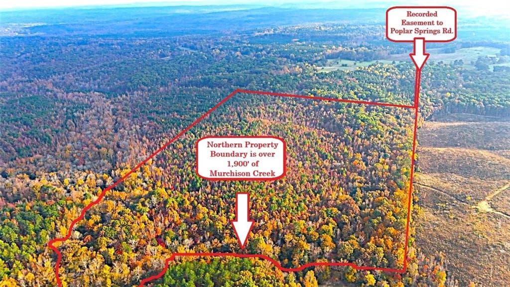 unimproved land for sale at 00001 Poplar Springs Road, Buchanan, GA 30113 — photo 2