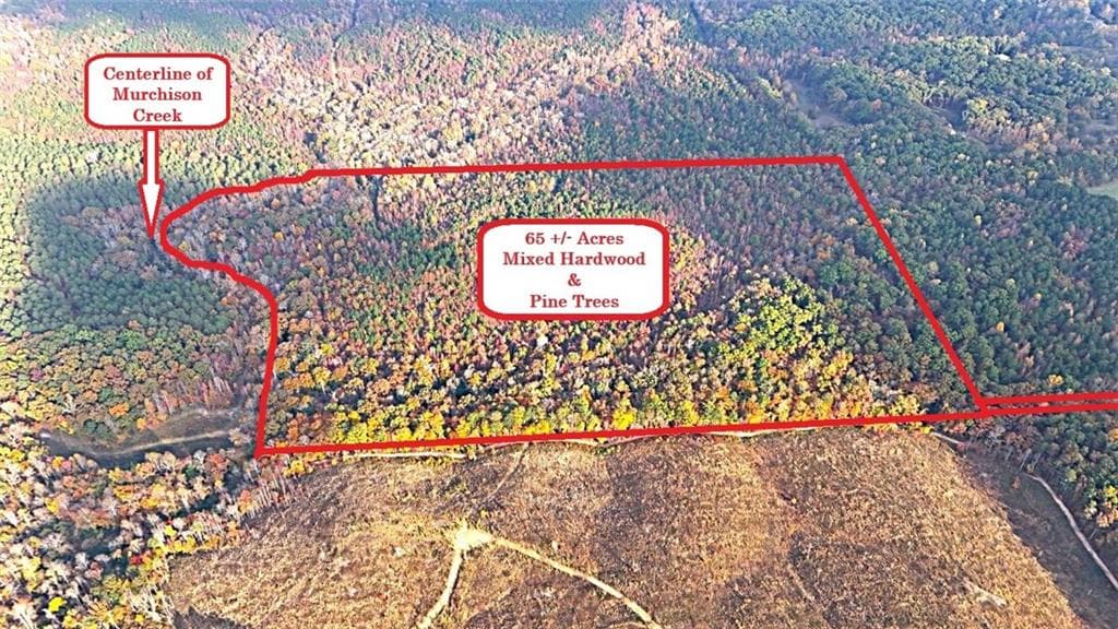 unimproved land for sale at 00001 Poplar Springs Road, Buchanan, GA 30113 — photo 3