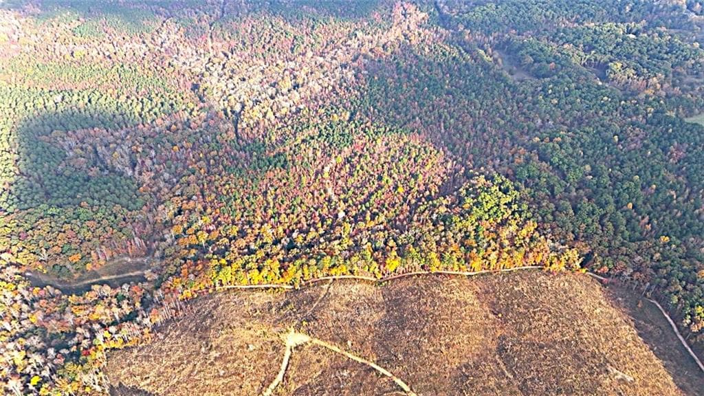 unimproved land for sale at 00001 Poplar Springs Road, Buchanan, GA 30113 — photo 6