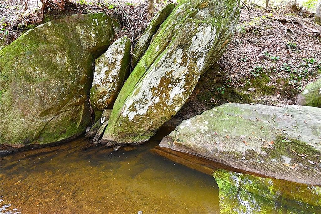 unimproved land for sale at 00001 Poplar Springs Road, Buchanan, GA 30113 — photo 8