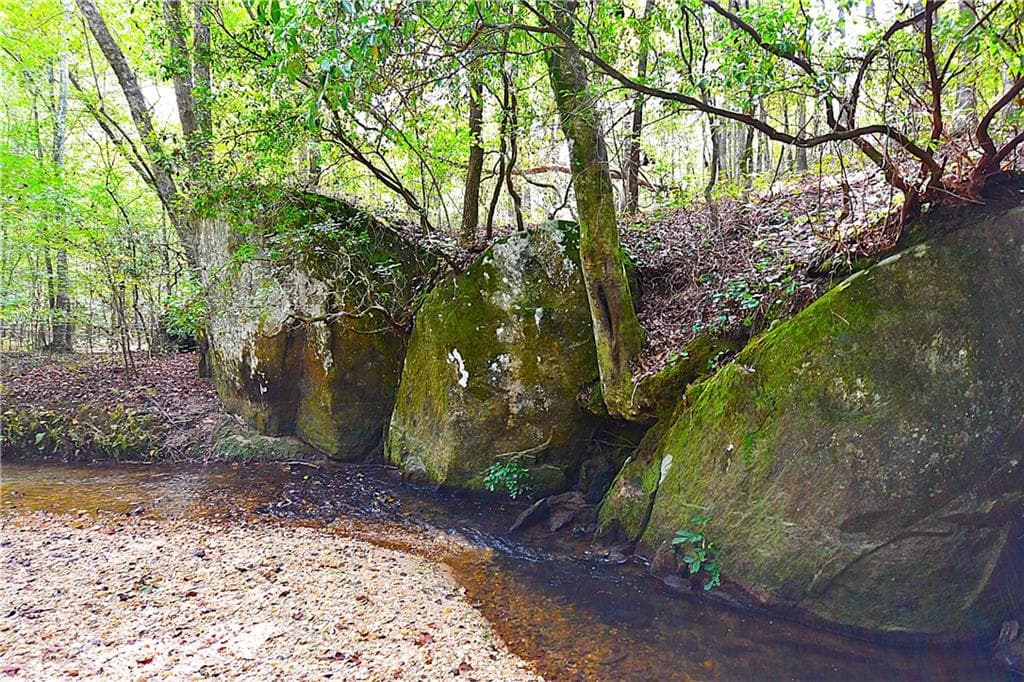 unimproved land for sale at 00001 Poplar Springs Road, Buchanan, GA 30113 — photo 9