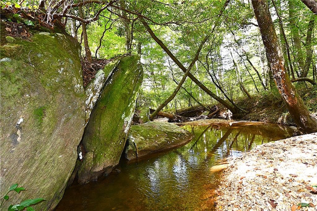 unimproved land for sale at 00001 Poplar Springs Road, Buchanan, GA 30113 — photo 10