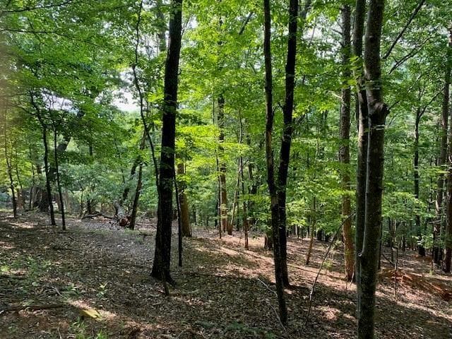 single family residence for sale at 6057 Crested Iris, Big Canoe, GA 30143 — photo 7